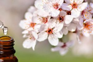 Fiori-di-Bach-1
